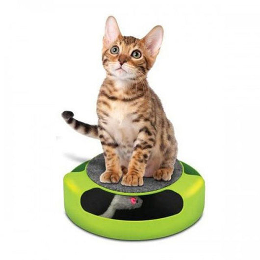 Interactive Mouse Cat Toy with Scratch Board for Kittens and Cats