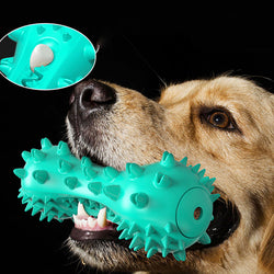 Chatterbox Dog Toothbrush Toy: Engage Your Dog in Dental Care