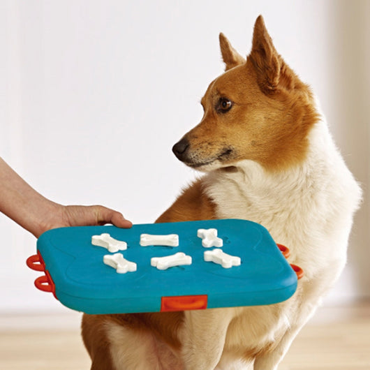 Educational Dog Food Leaker Toy: Stimulate and Engage Your Dog's Mind