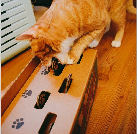 Interactive Cat Toy: Corrugated Carton Hamster with Playful Paper for Kittens and Cats