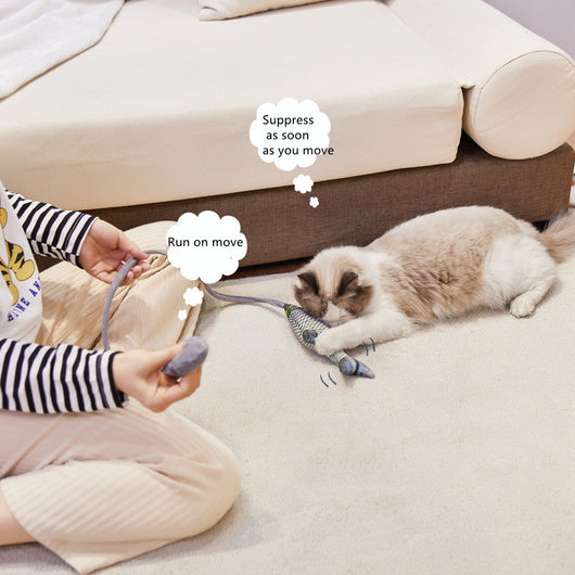 Interactive Plush Cat Fish Toy: Pet Airbag Teaser for Playful Fun with Mint Scent