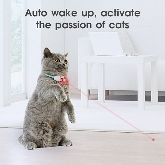 Smart Laser Teasing Cat Collar: Automatic Electric Cat Toy for Interactive Training and Amusing Playtime, USB Charging