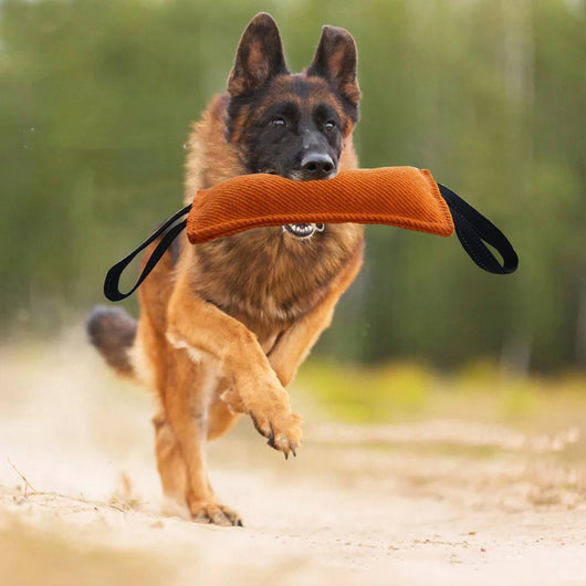 Durable Dog Training Equipment: Jute Bite Pillow for Dog Tug-of-War