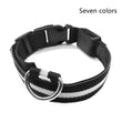 Adjustable Luminous LED Collar and Leash Set for Nighttime Safety of Dogs and Cats