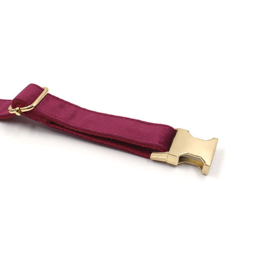 Burgundy Velvet Pet Collar for Dogs - Soft and Comfortable