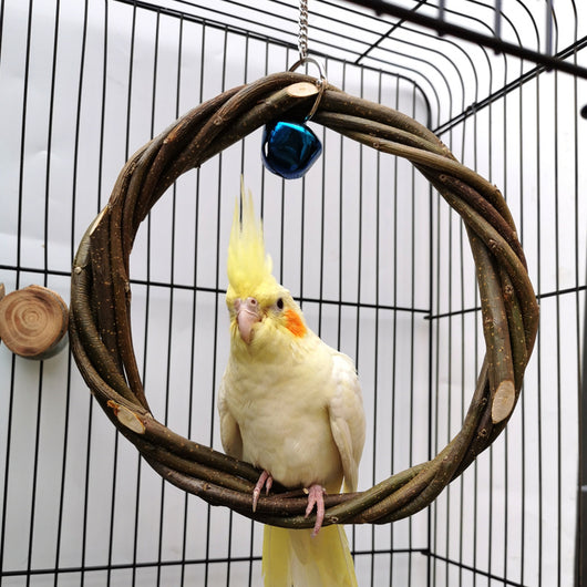 Bird Standing Frame Rattan Ring Chewing Toy for Small and Medium-Sized Birds