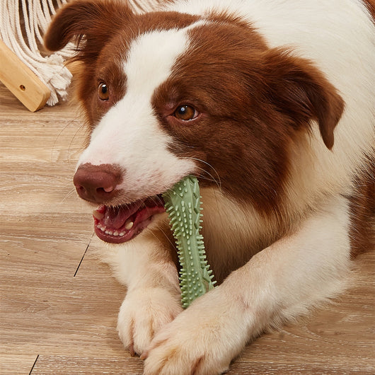 Chewable Dog Toothbrush Toy for Teeth Cleaning and Anxiety Reduction - Durable TPR Material, Interactive Design, Easy to Clean