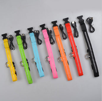 Adjustable Luminous LED Collar and Leash Set for Nighttime Safety of Dogs and Cats