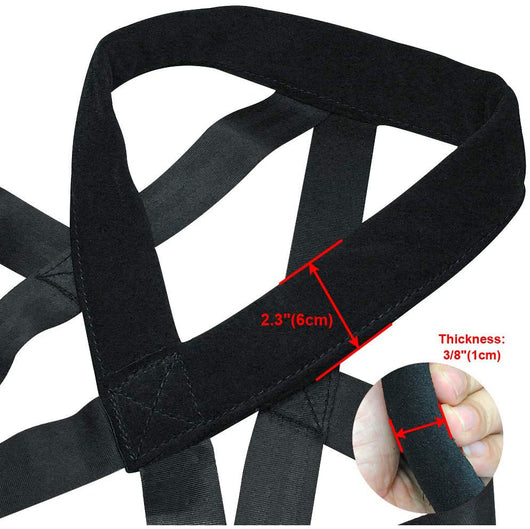 Dog Leashes and Chest Straps - Essential Training
