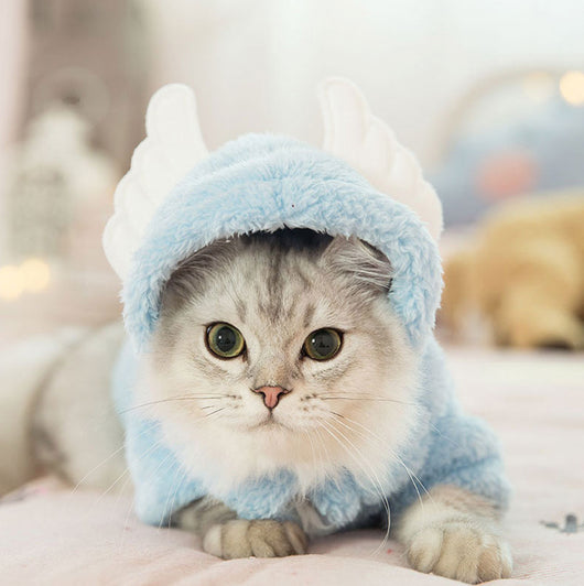 Cute and Funny Pet Cat Clothes for Kittens