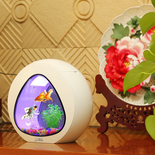 Stylish Desktop Aquarium Perfect for Any Room Decor