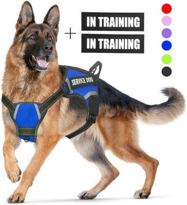 Adjustable Dog Harness | Multiple Color | with Easy-to-Wear Buckle and Stainless Steel D-Ring