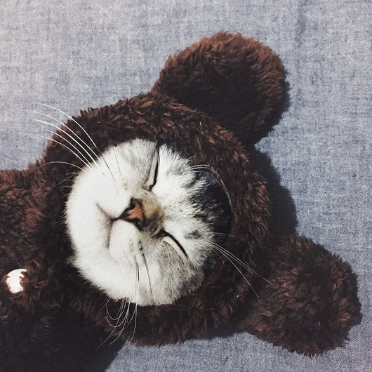 Cute and Funny Pet Cat Clothes for Kittens
