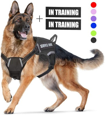 Adjustable Dog Harness | Multiple Color | with Easy-to-Wear Buckle and Stainless Steel D-Ring