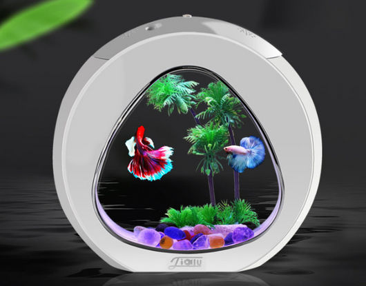 Stylish Desktop Aquarium Perfect for Any Room Decor