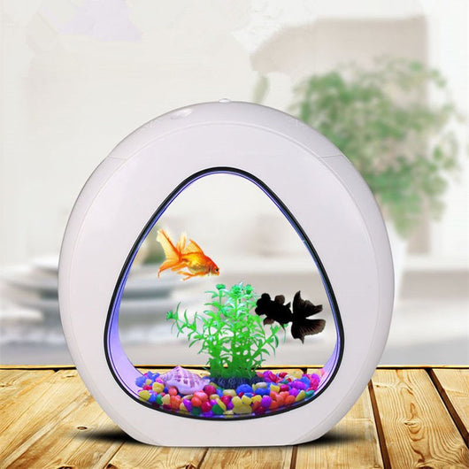 Stylish Desktop Aquarium Perfect for Any Room Decor