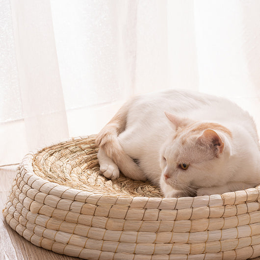 Cozy and Stylish Teng Wok Felt House Cat Bed