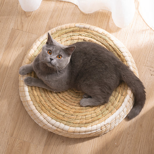 Cozy and Stylish Teng Wok Felt House Cat Bed