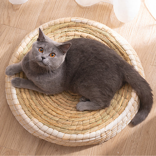 Cozy and Stylish Teng Wok Felt House Cat Bed