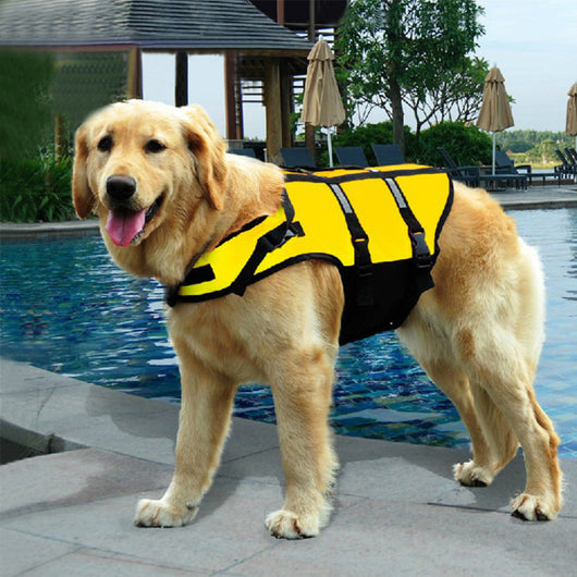 Pet Attire: Dog Clothes, Life Jackets, Swimwear π