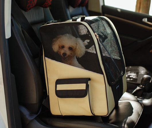 Portable Small Pet Wheel Carrier Backpack for Dogs and Cats - Breathable, Multi-Functional Travel Bag 🐱