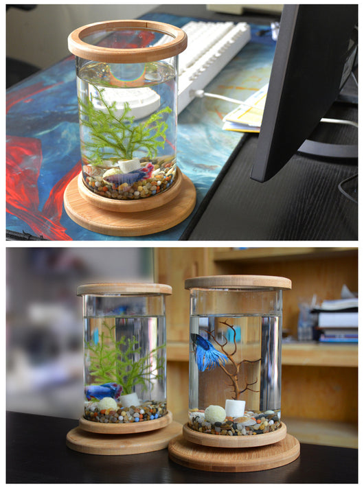 Eco-Friendly Bamboo Base Glass Aquarium for Small Spaces