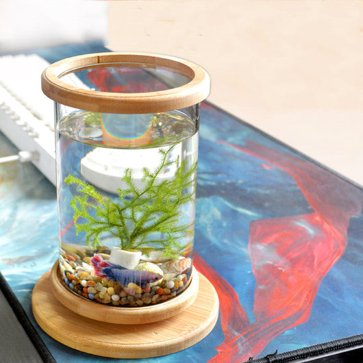 Eco-Friendly Bamboo Base Glass Aquarium for Small Spaces