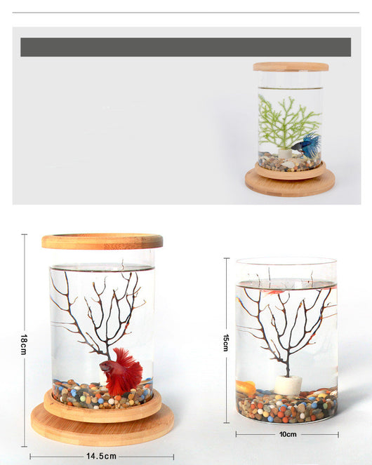Eco-Friendly Bamboo Base Glass Aquarium for Small Spaces
