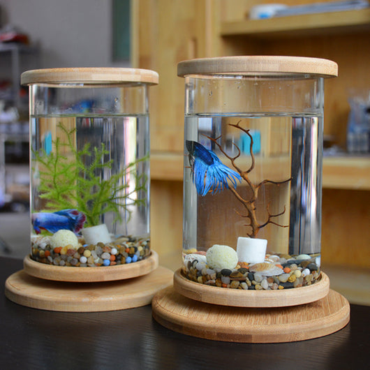Eco-Friendly Bamboo Base Glass Aquarium for Small Spaces