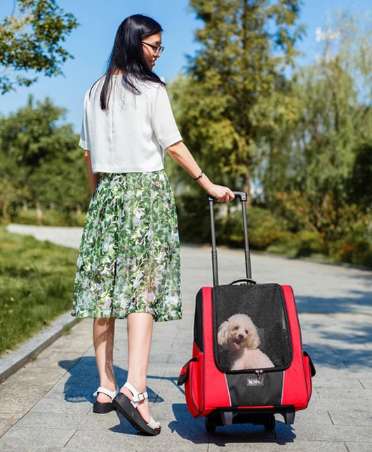 Portable Small Pet Wheel Carrier Backpack for Dogs and Cats - Breathable, Multi-Functional Travel Bag 🐱