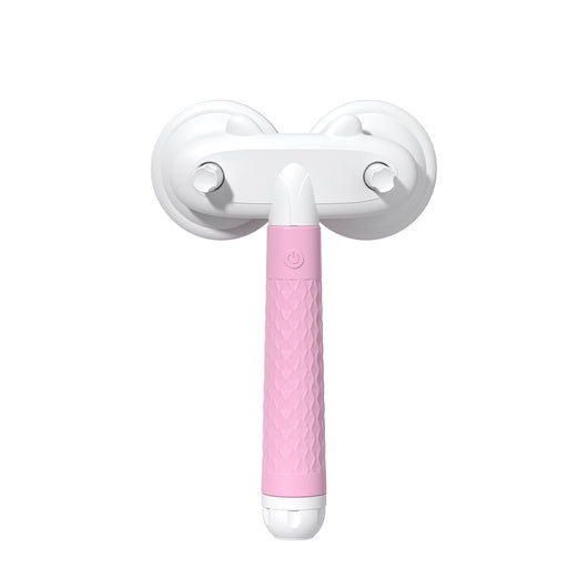 Dual-Headed Pet Hair Remover with Negative Ion Technology for Cats and Dogs