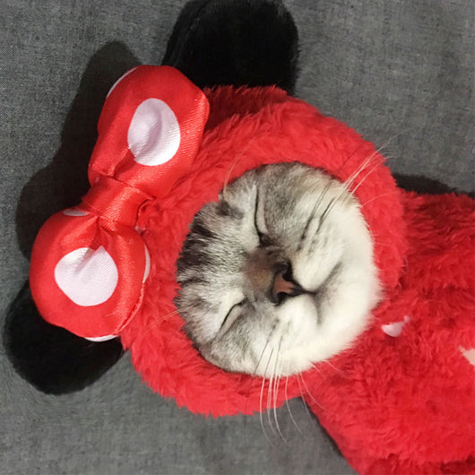 Cute and Funny Pet Cat Clothes for Kittens