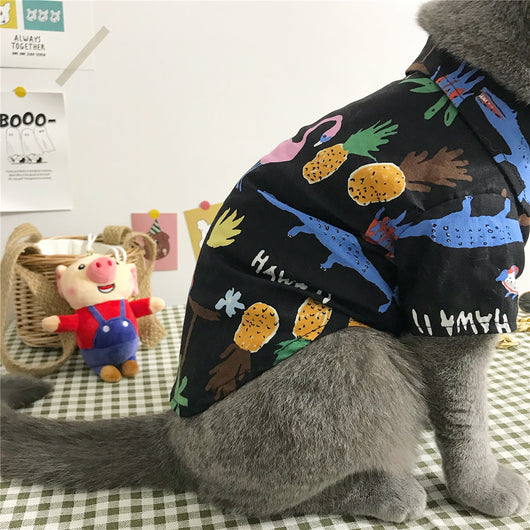 Purrfect Summer Style - Cat Shirt Set with Accessories