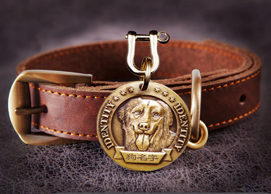 Personalized Lost-Prevention Dog Collar ID Tag