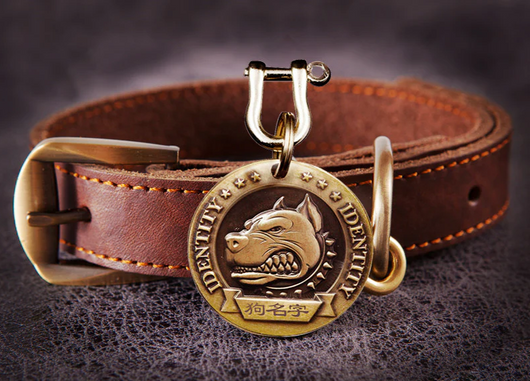 Personalized Lost-Prevention Dog Collar ID Tag
