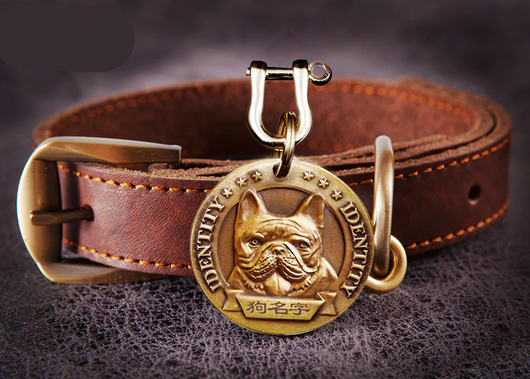 Personalized Lost-Prevention Dog Collar ID Tag