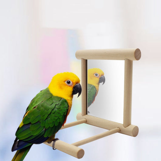 Interactive Bird Stand with Mirror for Pet Parrots and Manna Pearls
