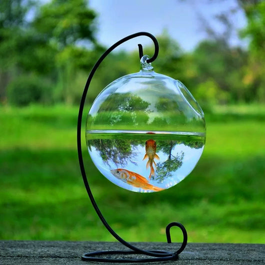 Hanging Glass Vase Fish Tank - Perfect for Small Spaces and a Stylish Addition to Your Home Decor