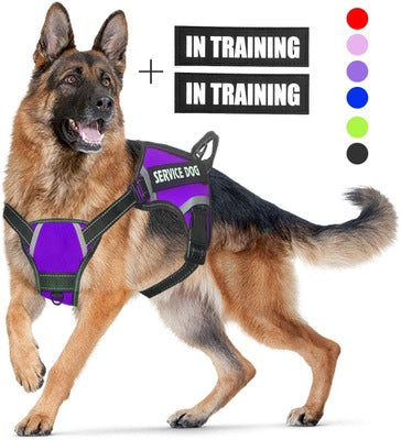 Adjustable Dog Harness | Multiple Color | with Easy-to-Wear Buckle and Stainless Steel D-Ring