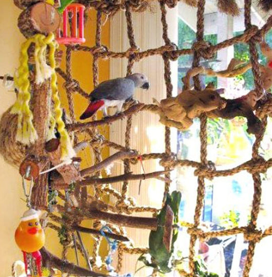 Colorful Hemp Rope Climbing Net for Parrots and Other Birds