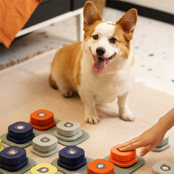 Bond with Your Pet | Recordable Communication Button Toy | Available in 4 Colors