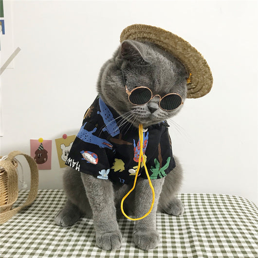 Purrfect Summer Style - Cat Shirt Set with Accessories