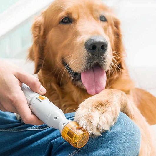 Electric Pet Nail Trimmer for Dogs and Cats, Professional Nail Clippers with Sandpaper