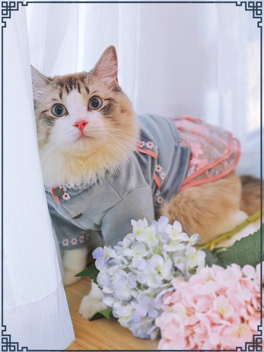 Casual Pet Cat Clothes with Bow Skirt and One-piece Dress