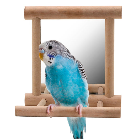 Interactive Bird Stand with Mirror for Pet Parrots and Manna Pearls