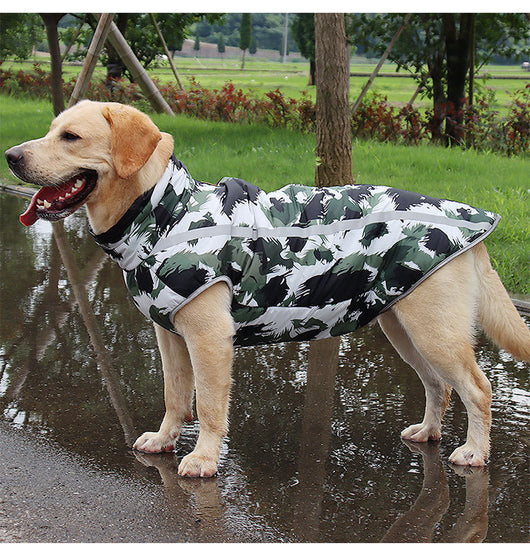 Cozy and Warm Dog Clothes for Your Furry Friend ๐ถ
