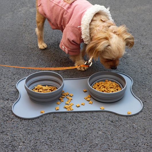 Foldable Silicone Dog Bowl - Perfect for On-The-Go Adventures!  ๐พ