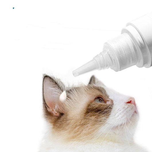 Dog Ear Cleaning Solution for Ear Mite Removal and Odor Control