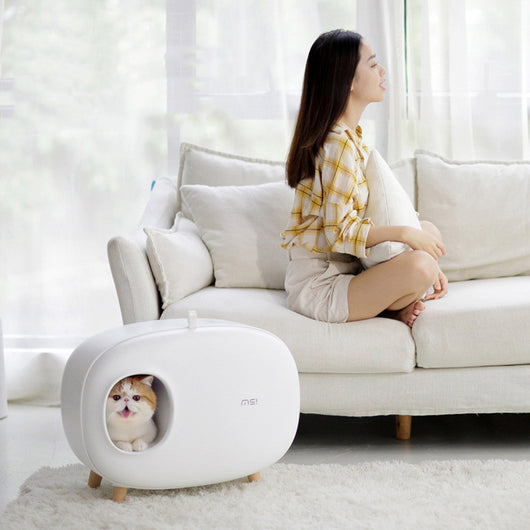 Large Cat Litter Box for Home - Fashionable Drawer Design