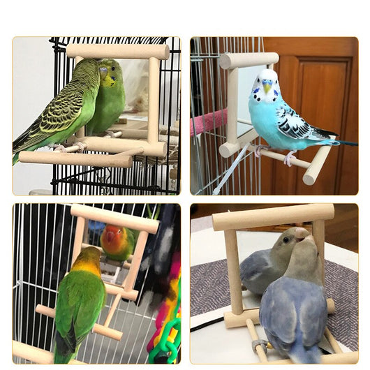 Interactive Bird Stand with Mirror for Pet Parrots and Manna Pearls